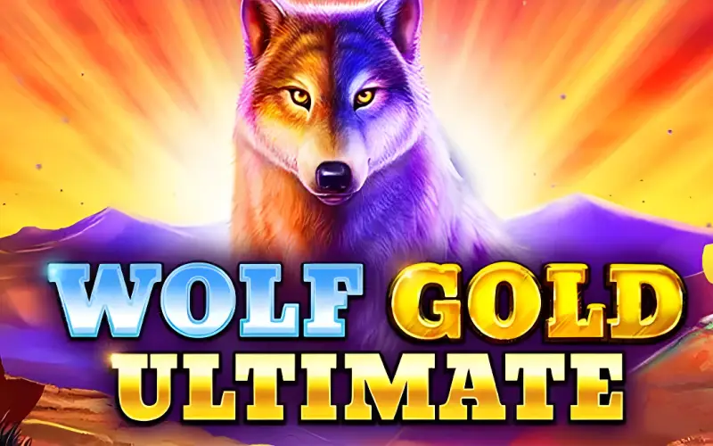 Busque prêmios selvagens no clássico slot Wolf Gold disponível na 166bet.